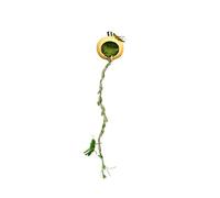Sauter Spider Hide - Hideaway de l'habitat magnétique | Accessoire de Terrarium pour araignées Sauter, Mille-Pattes, Geckos à crête, Petits Reptiles, Animaux de Compagnie d'escalad