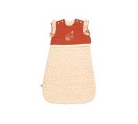 Sauthon - Gigoteuse 0-6 Mois Maison Hiver Orsino