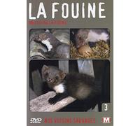 Sauvages Vol. 3 voisine la fouine