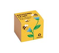 Sauver les abeilles | Kit de culture fleurs mellifères | Bombe de graines pour pollinisateurs | Cultiver des fleurs pour abeilles à la maison | Cadeau original et éducatif
