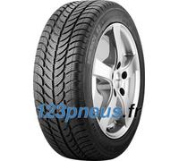 Sava Pneu Eskimo S3+ 165/70 R14 81T