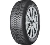 SAVA Pneu 4 saisons 175/70 R 14 TL 84T ALL WEATHER M+S 3PMSF