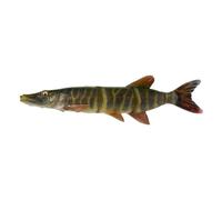 Savage Gear 4D Line Thru Pike 25cm 110g Ss 01-Striped Pike Brochet Leurre Appât