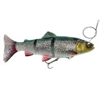 Savage Gear 4D Line Thru Trout SS 20cm 93g Leurre souple NEUF COLOURS
