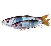 Savage Gear 4Play V2 Swim N Jerk - Swimbait à Base de harengs scannés en 3D pour Les pêcheurs de prédateurs, Action réaliste, idéal pour Le brochet, Le Bar et Plus Encore | Slow Sink Rudd 13.5 cm