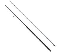 Savage Gear Canne Shore Jigging Defiance Sg2