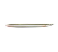 Savage Gear Line Thru Sandaal Clignotant continu 12,5 cm 19 g Black Silver