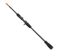Savage Gear Orange Ltd Big Appât BC 2,59m/110-220g Canne Baitcast 2-teilig