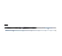 Savage Gear SGS2 Bateau Jeu 6'3" / 1,90m MF 200-600g / XXH 30-50lbs 2-Partie