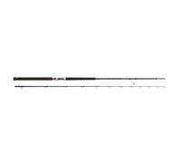 Savage Gear SGS6 Shore Jigging Canne à pêche, 3,05 m, 30-100 g, pour la pêche avec des appâts lourds, pour la pêche côtière