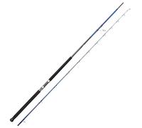 Savage Gear SGS6 Shore Jigging Canne à pêche 3 m 30-100 g pour pêche côtière