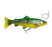 Savage Gear 4D Line Thru Trout MS 25cm 193g Leurre souple NEUF COLOURS