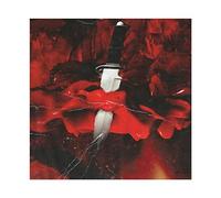 Savage Mode Album Poster sur toile Décoration de chambre à coucher Paysage sportif Bureau Décoration de chambre Cadeau sans cadre Style 2 30 x 30 cm