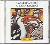 Savane D'afrique : Nature De La Brousse