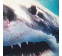 Savas - Royal Bunker