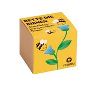 Save the Bees Kit de culture de fleurs sauvages - Bombe de graines pour pollinisateurs - Cultiver des fleurs adaptées aux abeilles à la maison - Cadeau éducatif original