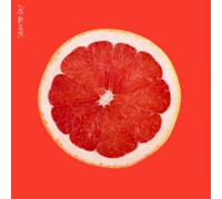 Saves the Day – Saves the Day – CD – Import – Sony