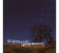 Saves the Day - Under The Boards [Import]