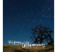 Saves The Day - Under The Boards