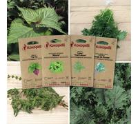 Saveurs asiatiques - 4 sachets bio