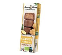 SAVEURS & NATURE-Bouchées à la Cacahuète et Fleur de sel enrobées de Chocolat boîte 45g