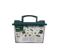 SAVIC-Boîte adaptée à l'observation des insectes Fauna Box - 2,5 L