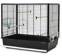 Vadigran Savic Primo 60 Cage pour Petit Oiseau Noir 80 x 50 x 70 cm