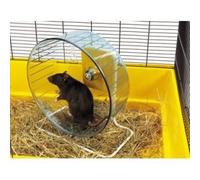 Savic Roue Rolly Giant