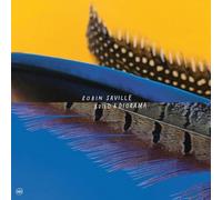 Saville Robin - Build a Diorama