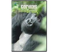 Saving a Species: Gorillas on The Brink