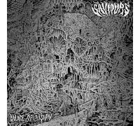 Saviours - Palace of vision