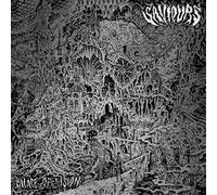 Saviours Palace of Vision (CD) Album