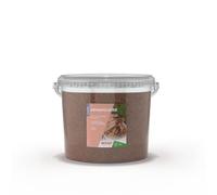 Savon en poudre AEXALT AEXAPOUDRE - Seau de 5 L - SV628