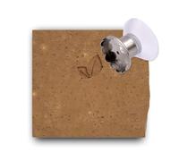 Savon Exfoliant Café Bio + Support Magnétique - Saponifié à Froid, Fabriqué en France, Grains de Café, Sans Sulfate/Silicone - Peau Lisse & Éclatante - Sun&Sia