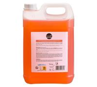 Savon liquide pêche Boldair bidon de 5 litres