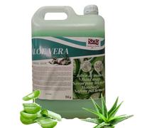 Savon Liquide pour les Mains 5L | PH Neutre - Convient à Tous Types de Peau | Parfum Aloe Vera | Nettoie et Prend Soin de la Peau | Bonne Mousse - Usage Quotidien