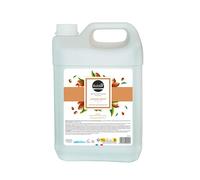 BOLDAIR - Nettoyant Mains Amande Douce - Lavage Fréquent et Régulier des Mains - 94,3% Ingrédients d'Origine Naturelle - Fabrication Française - Bidon 5 Litres