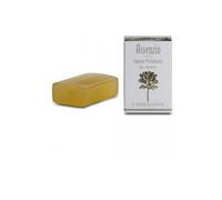 SAVON PROF TRE ARTEMISIE 100