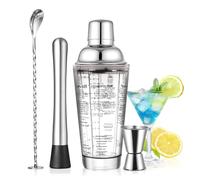 SAVORLIVING Ensemble de Shaker à Cocktail en Verre 40 cl, kit Barman 4 pièces, Shaker à Martini avec passoire, cuillère à mélanger, doseur et Pilon, Ensemble d'outils de Bar pour débutants (Argent)