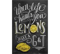 Sawfish® Plaque murale en métal « Make Gin and Tonic » rétro vintage 10 x 15 cm, 20 x 15 cm, 20 x 30 cm, 30 x 40 cm, 40 x 60 cm Idéale pour pub, abri de jardin, bureau, maison, chambre, salle à