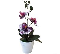 Sawhamale Orchidée phalaenopsis artificielle dans un pot décoratif, orchidée papillon 3D réaliste avec pétales texturés transparents, plante artificielle en pot nécessitant peu d'entretien pour une