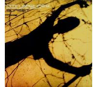 Sawhney, Nitin - Sunset