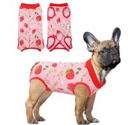 SAWMONG Combinaison de convalescence pour chien, mâle et femelle, adaptée après une chirurgie et une stérilisation, substitut du collier électrique (fraise, taille XXL)