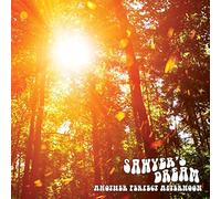 Sawyer'S Dream - Another Perfect Afternoon