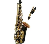 Saxo Alto Mib Nickel Noir Saxophone | Saxophone Alto Eb Tune E plat noir nickelé avec étui(Light green)