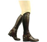 Saxon - Mini chaps déquitation - Enfants (XL) (Marron) - UTWB797 Marron G