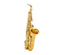 Saxophone Adapté Aux Débutants, En Mi Bémol Alto, Facile À Jouer