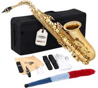 Saxophone Alto Brass Saxo Instrument a Vent Coffre Baton Gants de Nettoyage Set