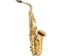 Saxophone Alto Brass Saxo Instrument a Vent Coffre Baton Gants de Nettoyage Set