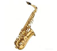 Saxophone Alto E-Flat en laiton, instrument de musique for débutant, Saxophone laqué doré avec sac de protection(Student)